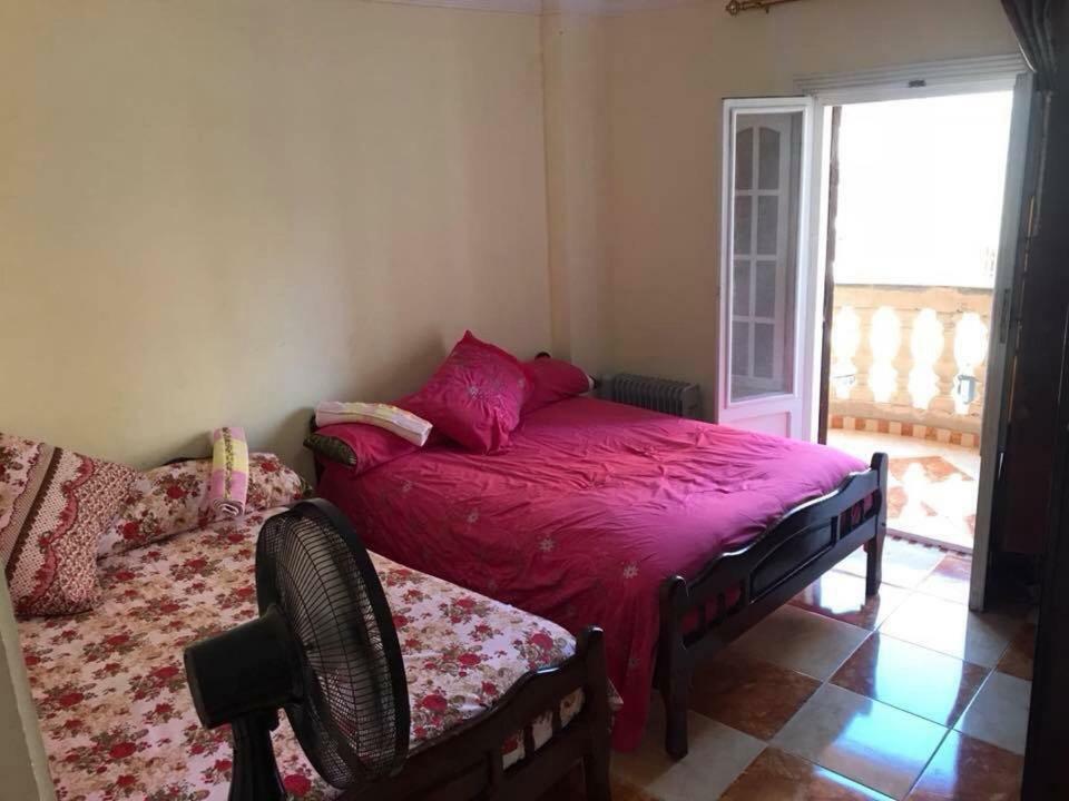 Cozy New 2 Bd Amazing Beach View Next To Hilton Hotel Family Only !العائلات فقط Alexandria Exteriör bild