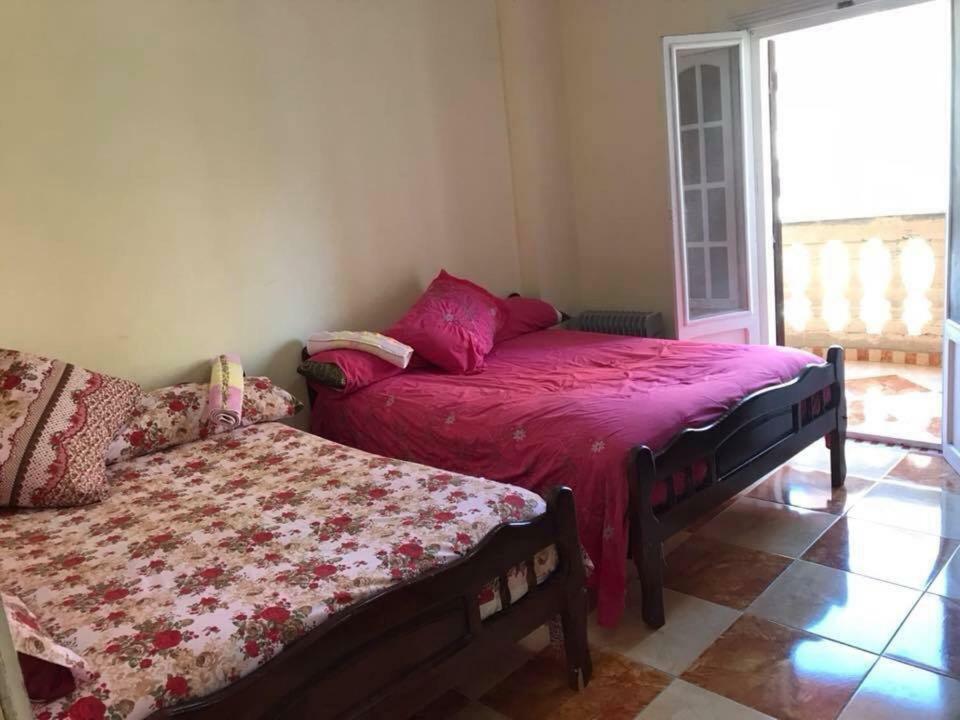 Cozy New 2 Bd Amazing Beach View Next To Hilton Hotel Family Only !العائلات فقط Alexandria Exteriör bild